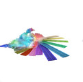 BIRCOcolor